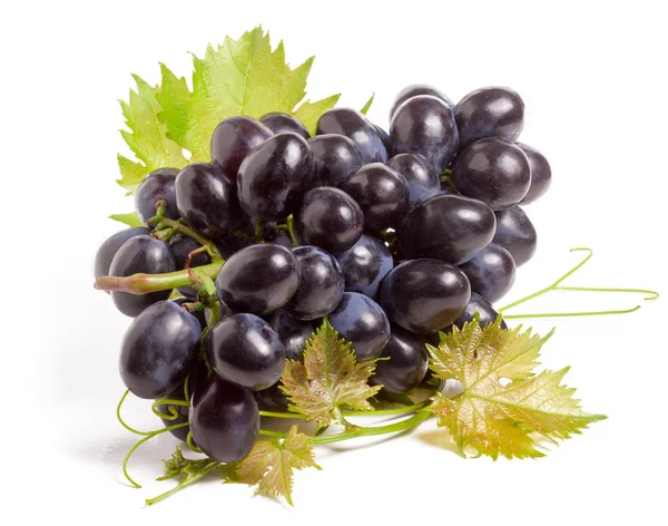 Kiść winogron niebieski z liść na białym tle — Zdjęcie stockowe