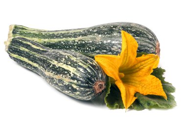 yaprak ve çiçek beyaz arka plan üzerinde izole iki kabak