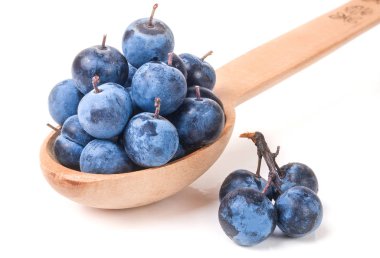 blackthorn berries in a wooden spoon isolated on white background clipart