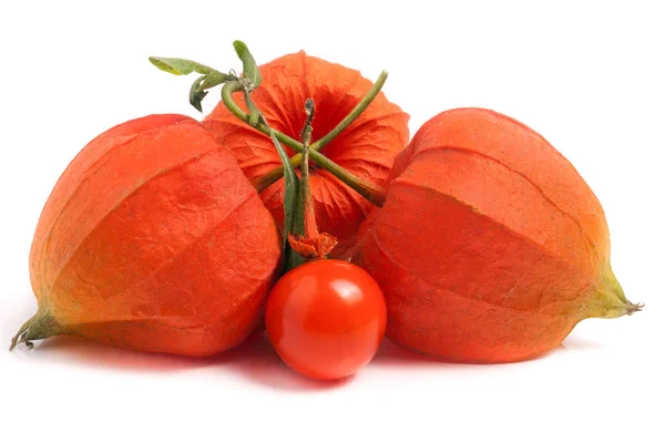 Φλοιό ντομάτες ή πάπρικα με φύλλο που απομονώνονται σε λευκό φόντο — Φωτογραφία Αρχείου
