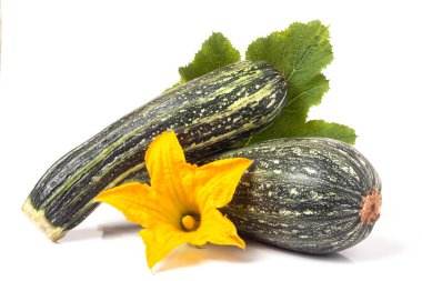 yaprak ve çiçek beyaz arka plan üzerinde izole iki kabak