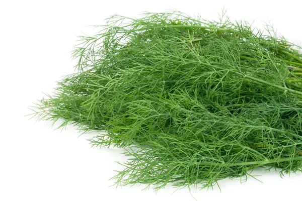 Bunch of dill isolated on a white background closeup — Stock Photo, Image