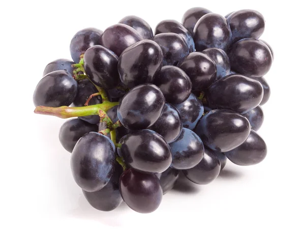 Racimo de uvas azules aisladas sobre fondo blanco — Foto de Stock