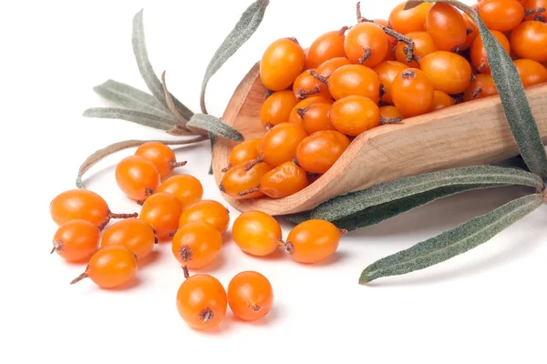 Buckthorn berries with leaves in a wooden scoop isolated on white background — Stock Photo, Image