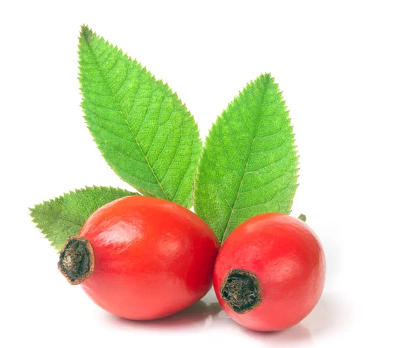 Rose hip berry dengan daun terisolasi pada latar belakang putih — Stok Foto