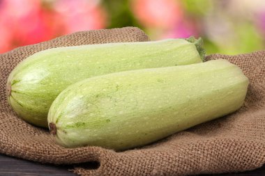 çul bulanık bir arka plan üzerinde iki kabak