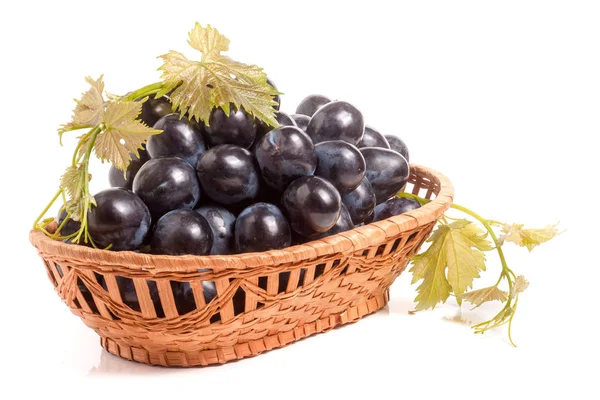 Uvas azules en una cesta de mimbre aisladas sobre fondo blanco — Foto de Stock