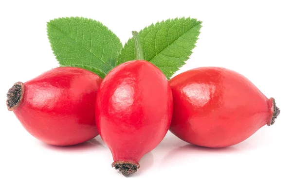 Drie rose hip berry met verlaat geïsoleerd op witte achtergrond — Stockfoto