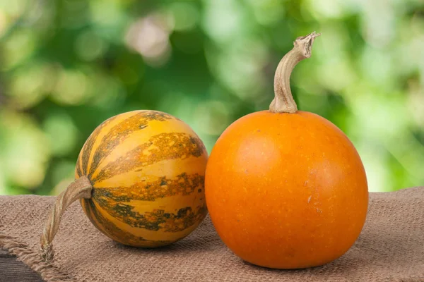 Calabazas decorativas de color naranja y rayas sobre una mesa de madera con fondo de jardín borroso de tela de saco —  Fotos de Stock