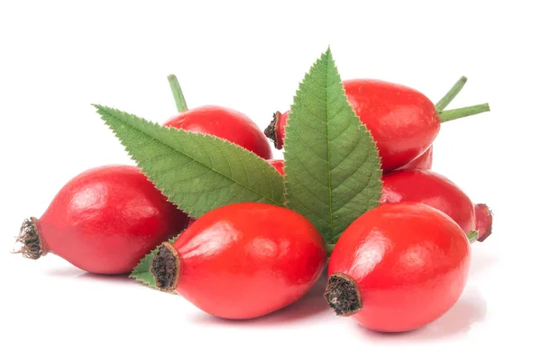 Hoop van vers rose hip berry met bladeren geïsoleerd op witte achtergrond — Stockfoto