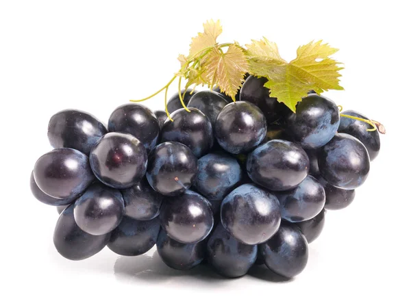 Tros blauwe druiven met blad geïsoleerd op witte achtergrond — Stockfoto