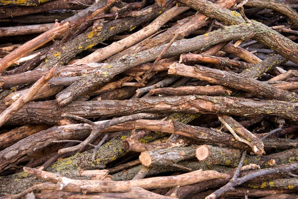 Une pile de bois de chauffage. Préparation pour l'hiver dans le village — Photo