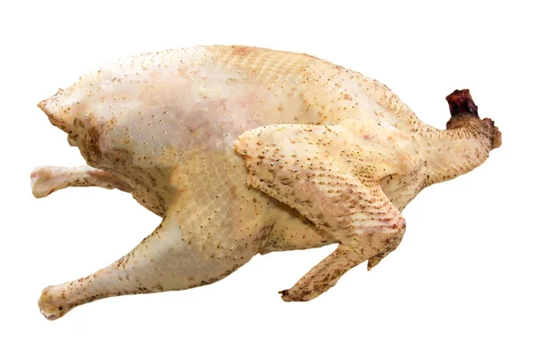 Raw turkey carcass isolated on a white background — Stock Photo, Image