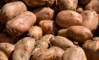 arka plan olarak piyasada patates