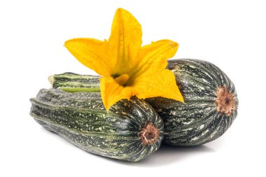 Beyaz arka plan üzerinde izole çiçek ile iki kabak