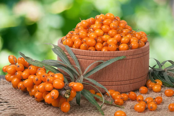 Sanddornbeeren in einer hölzernen Schüssel auf dem Tisch mit verschwommenem Gartenhintergrund — Stockfoto