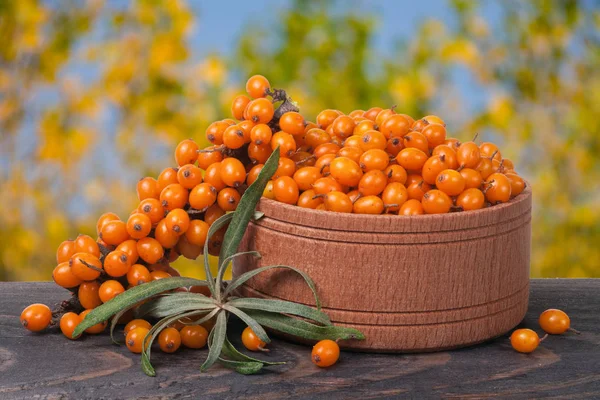 Deniz topalak meyveleri ile Bahçe arka plan bulanık tabloda ahşap bir kasede