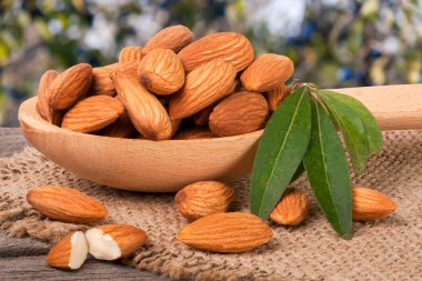 soyulmuş badem ile bir tahta kaşık masada yaprak yığını Bahçe arka plan bulanık