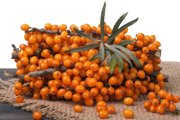 Sea buckthorn branch on a wooden table isolated white background — Stock Photo, Image