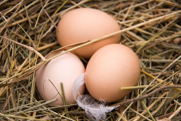 Три куриных яйца, лежащих в сене — стоковое фото
