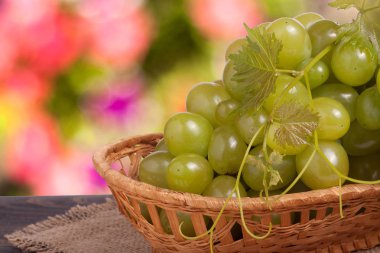 arka plan bulanık bir tahta masada olgun Yeşil üzüm demet