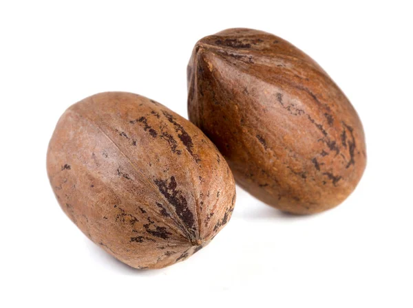 Dva pekanové ořechy izolovaných na bílém pozadí — Stock fotografie
