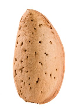 Beyaz arka plan üzerinde yakın çekim makro izole bir badem fındık