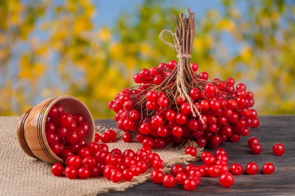 Kalina czerwony dojrzałe jagody w drewniane miski na stole z niewyraźne tło ogród — Zdjęcie stockowe