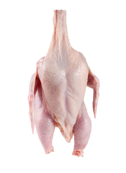 Surowa tusza z kurczaka izolowana na białym tle — Zdjęcie stockowe