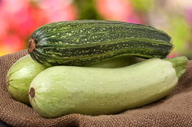 yeşil kabak ve çul bulanık bir arka plan üzerinde kabak