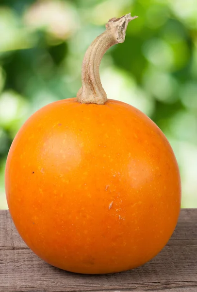 Pequeña calabaza naranja decorativa sobre un tablero de madera con fondo de jardín borroso —  Fotos de Stock