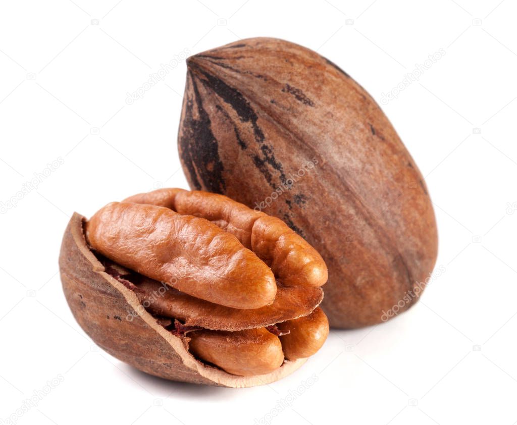 two pecan nuts isolated on white background