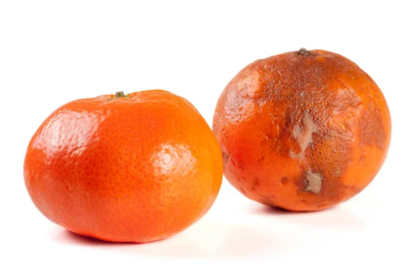 Mandarino fresco e danneggiato isolato su fondo bianco — Foto Stock