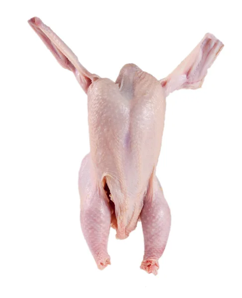 Surowa tusza z kurczaka izolowana na białym tle — Zdjęcie stockowe