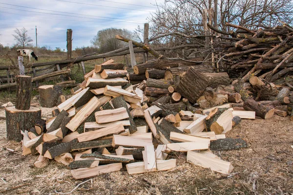 Pile of firewood. Preparation for the winter in the village — Stock Photo, Image