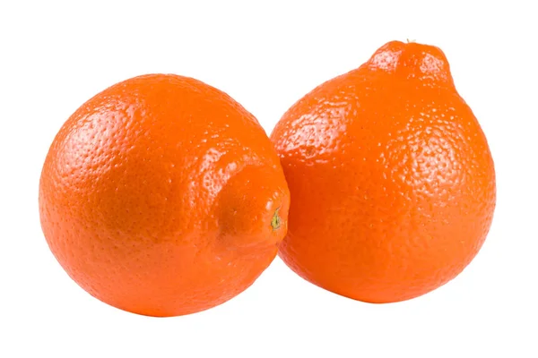 两个橙橘或与孤立的白色背景上的叶尼奥 — 图库照片