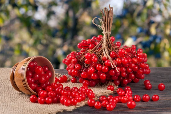 Стиглі червоні ягоди калини в дерев'яній мисці на столі з розмитим садовим фоном — стокове фото