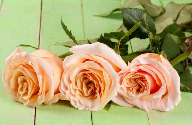 Yeşil ahşap arka plan üzerinde üç taze bej gül