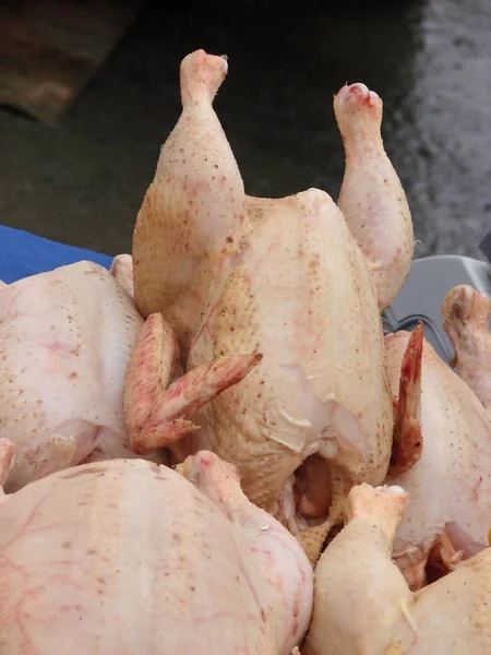 Carcasses de poulet cru vendues au comptoir du marché. Concentration sélective — Photo