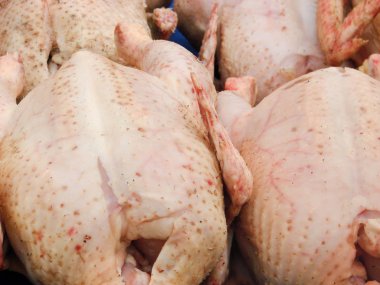 çiğ tavuk leşleri Pazar içinde satılan. Seçici odak