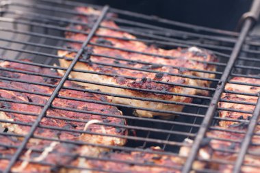 Izgara şiş veya barbekü ızgara kebab. Seçici odak