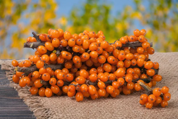 Sanddornzweig auf einem Holztisch mit verschwommenem Gartenhintergrund — Stockfoto