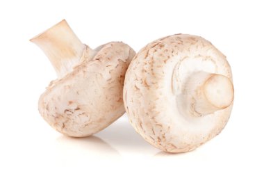 Beyaz arka plan üzerinde izole iki taze champignon mantar