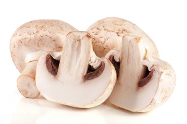 Beyaz arka planda izole edilmiş taze şampiyon mantarları