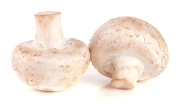 Beyaz arka plan üzerinde izole iki taze champignon mantar
