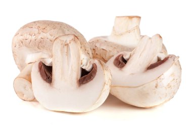 Beyaz arka planda izole edilmiş taze şampiyon mantarları