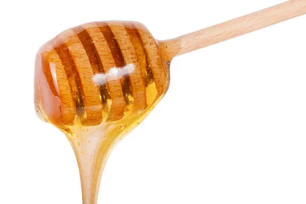Honey flowing from wooden stick isolated on white background — Stock Photo, Image