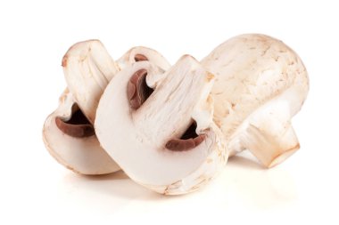 champignon mantar ve yarısı beyaz arka plan üzerinde izole