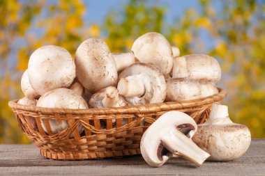 Bulanık Bahçe arka plan ile ahşap masa üzerinde bir hasır sepet champignon mantar