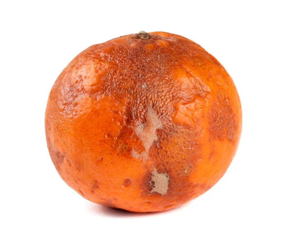 One damaged tangerine isolated on white background — Stock Photo, Image
